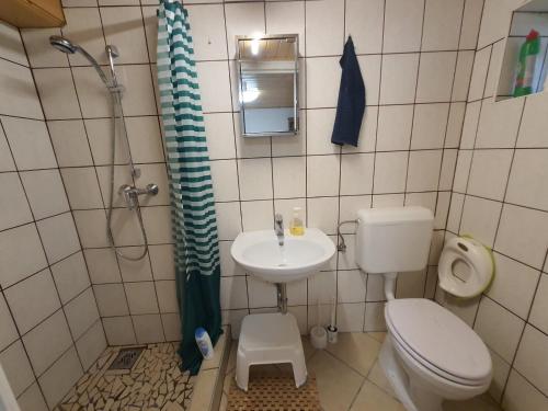 a small bathroom with a toilet and a sink at Dorci Vendégház - A piece of peace in Cserépfalu