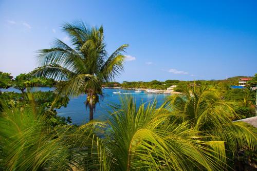a view of a river with palm trees and boats at Bella Luna Beach Condo #227462 in West End