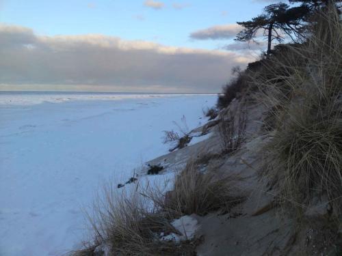 a beach with snow and trees and a body of water at Holiday home in Zempin (Seebad) 3239 in Zempin