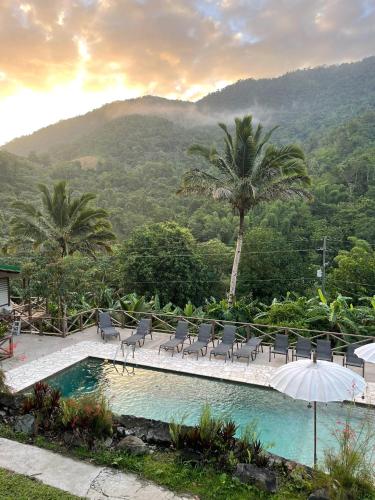 a pool with chairs and an umbrella and palm trees at Casa Grande Mountain Retreat - Adults Only in Utuado