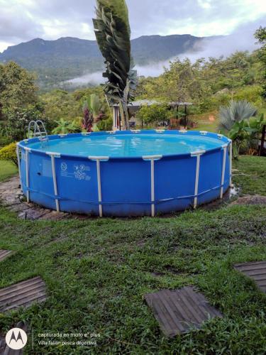 Gallery image of Villa Falian Nido martín pescador in Viotá