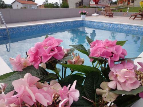 a bunch of pink flowers next to a swimming pool at Apartment Kastel 22 in Kaštel