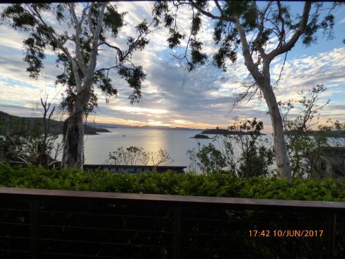 a view of a body of water with trees at Compass Point 8 in Hamilton Island