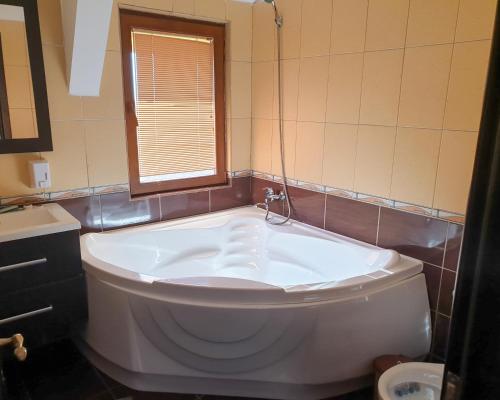 Gallery image of Pension Delta Miraj in Sulina
