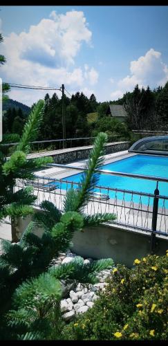a large swimming pool with trees and plants in the foreground at Apartments Za Grapo in Cerkno