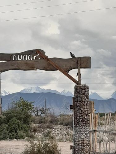 a bird sitting on top of a sign in the desert at Yurt camp Sonun in Bokonbayevo