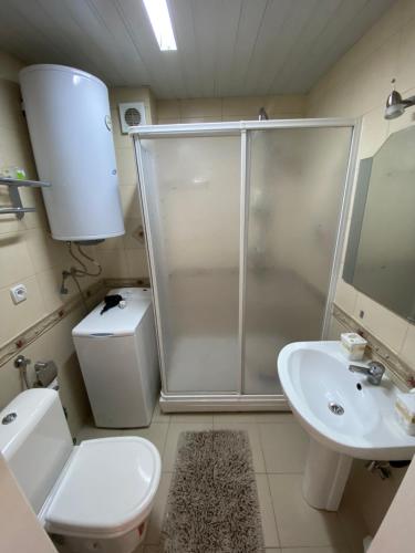 a bathroom with a shower and a toilet and a sink at Aqua Blue Apartment in Peštani