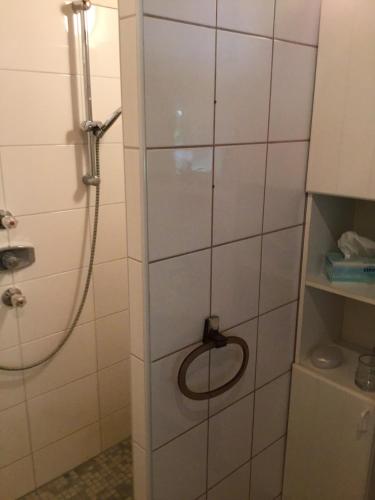 Koupelna v ubytování Ferienidylle Oberschützen