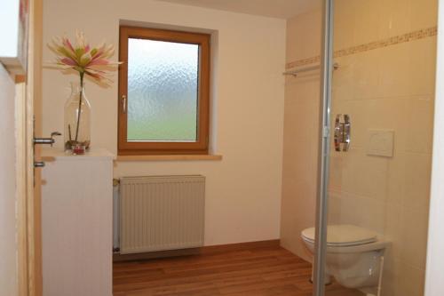 a bathroom with a toilet and a window at Knotzenlehen in Ramsau
