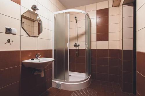 a bathroom with a shower and a sink at Willa Bałtyk in Międzyzdroje