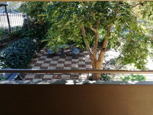 uma vista para um tabuleiro de xadrez com uma árvore em Belmont Guesthouse em Bloemfontein