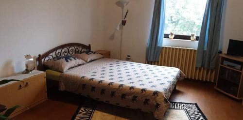 1 dormitorio con cama y ventana en Anna Apartman en Lovas