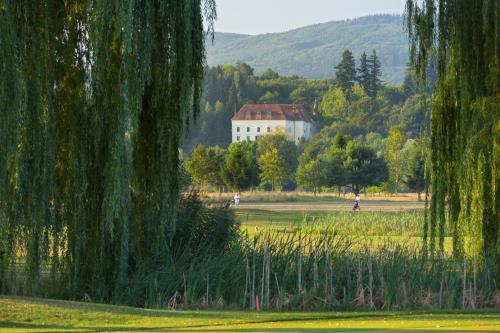 Meierhof – Photos 3