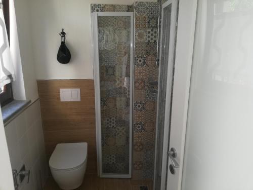 een badkamer met een toilet en een douche bij Grazioso monolocale - Borgo Malan, Luserna S. G. in Luserna San Giovanni