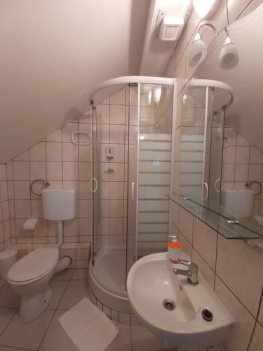 a bathroom with a sink and a toilet and a shower at Izletište Opatovac in Opatovac