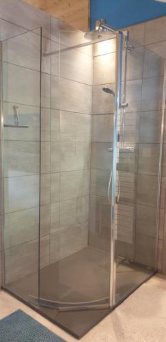 een douche met een glazen deur in de badkamer bij Chambre d'hôtes à la ferme in Beaune