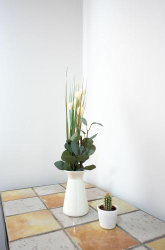two plants in a white vase on a tile floor at Casa Gabriela Hotel in Jiménez de Jamuz