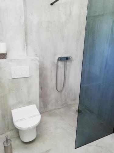 a bathroom with a toilet and a glass shower at Golden Star Praxitelous in Agia Marina Aegina