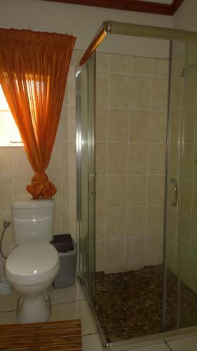 a bathroom with a toilet and a glass shower at Panorama Chalets & Rest Camp in Graskop