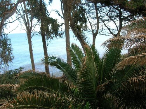 una vista del océano desde la playa con palmeras en VillaPietramaccarruna, en Trabia