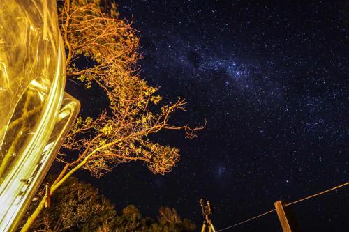 a starry night with a tree in the foreground at The Ocean Dome - Misty Mountain Reserve in Thornham