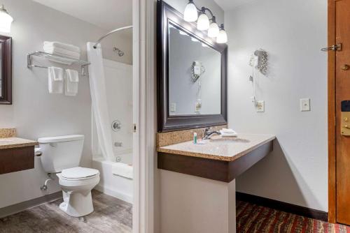 a bathroom with a toilet and a sink and a mirror at Econo Lodge Lakeview in Marquette