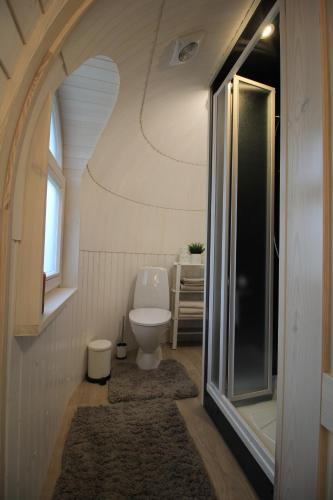 Kamar mandi di Kuldallika igloo house and iglusauna