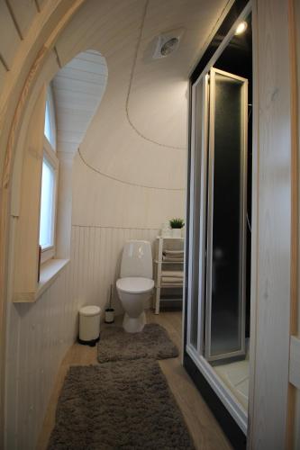 a small bathroom with a toilet and a window at Kuldallika igloo house and iglusauna in Kullamäe