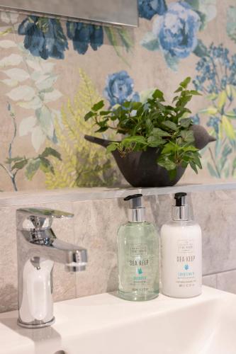 a bathroom sink with two bottles of soap and a plant at Art House Apartments in Inverness