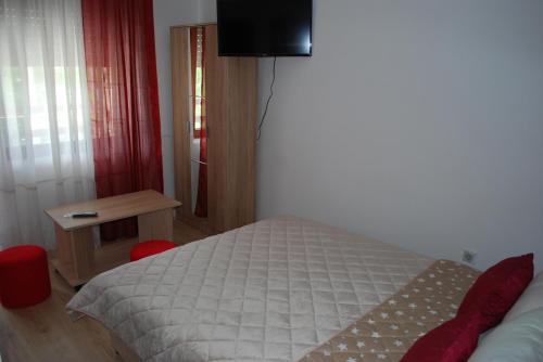 a bedroom with a bed and a television on the wall at Apartmani ,studija i sobe Savić in Soko Banja