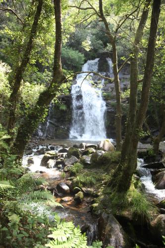a waterfall in the middle of a forest at Casa de Guadalupe in Redouça