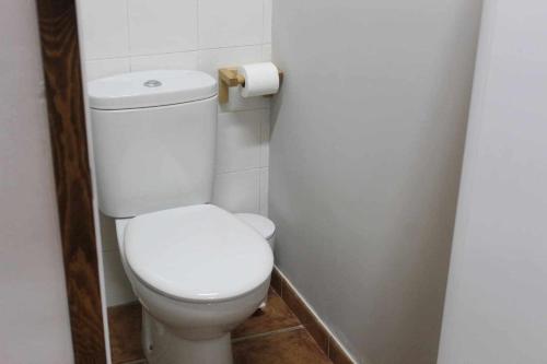a bathroom with a white toilet in a stall at Casa El Tío Carrascón alojamiento rural in Cerveruela