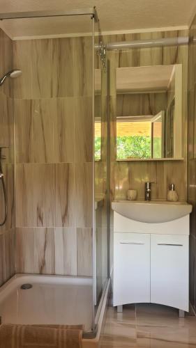 a bathroom with a tub and a sink and a shower at Casa Lira Orșova in Orşova