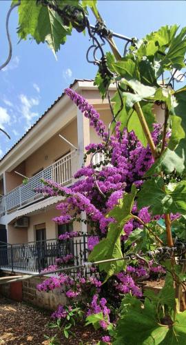 Half of house to rent - family Zelenika