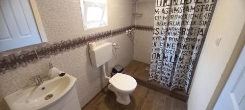 een badkamer met een wit toilet en een wastafel bij Casa Claudiu in Eşelniţa