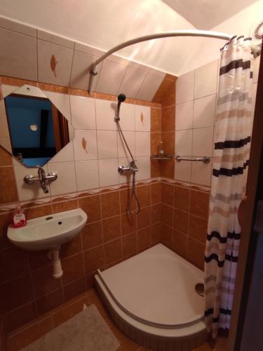 a bathroom with a shower and a toilet and a sink at Ubytování Jevišovka - Vinný sklípek in Jevišovka