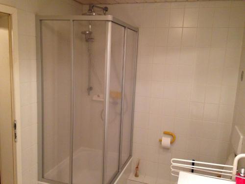 a shower with a glass door in a bathroom at Haus Schönwald in Freiburg im Breisgau