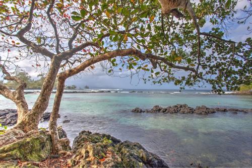 a tree on a beach with the ocean at Hale Ki'i Maka Manu home in Keaau
