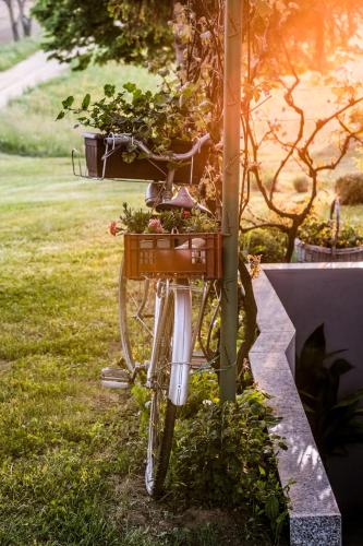 a bike with a basket filled with plants at Ruralna kuća za odmor LOVRAK in Budrovac