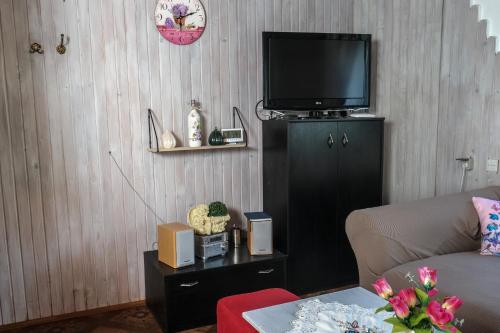 a living room with a couch and a tv at Ruralna kuća za odmor LOVRAK in Budrovac