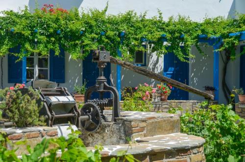 a water fountain in front of a house with plants at Agios Prokopios Hotel in Agios Prokopios
