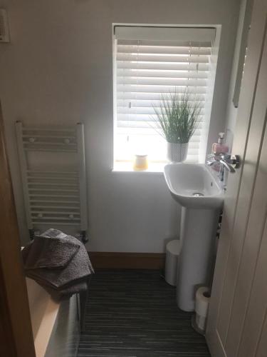a bathroom with a sink and a window with a potted plant at No 6 Elizabeth Street in Congleton