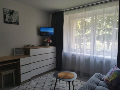 a living room with a couch and a window at Upės apartamentai in Biržai