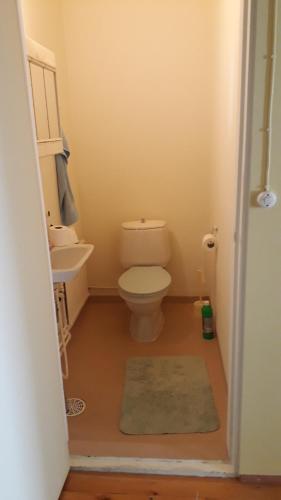 małą łazienkę z toaletą i umywalką w obiekcie Studio mummola w mieście Varkaus