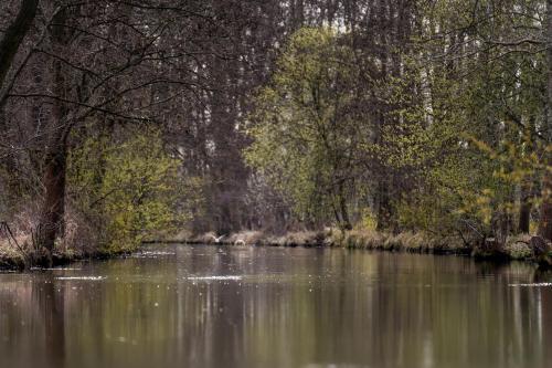 a body of water with trees and a river at Waldhotel Eiche in Burg