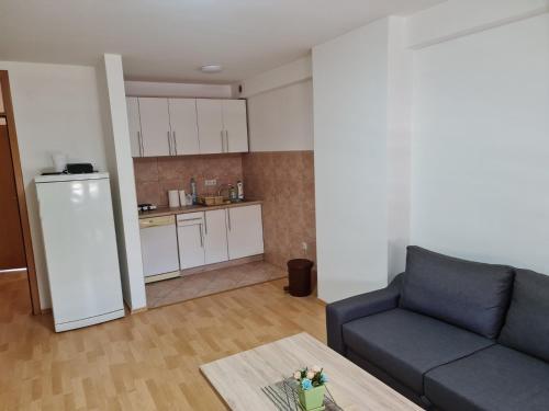 Køkken eller tekøkken på APARTMANI SK