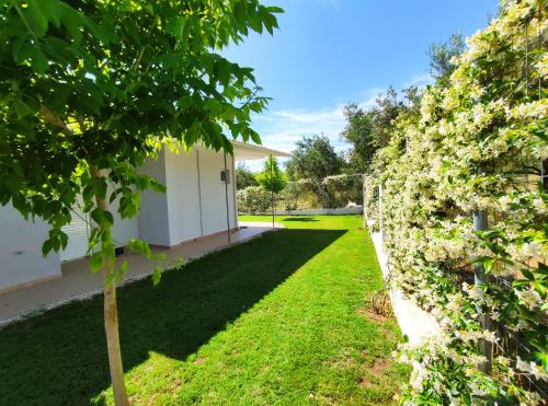 Κήπος έξω από το Dimitra Apartments