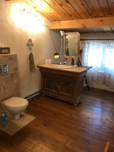 a bathroom with a toilet and a sink with a mirror at La Charmeuse in Céreste