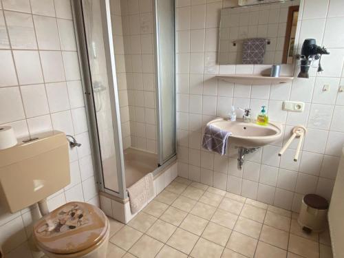 Ванна кімната в Ferienwohnung Frankenhof
