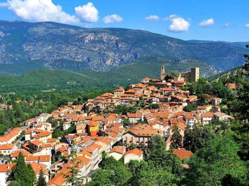 a town on a hill with red roofs at Appart Rez de Jardin Chez Anne in Vernet-les-Bains